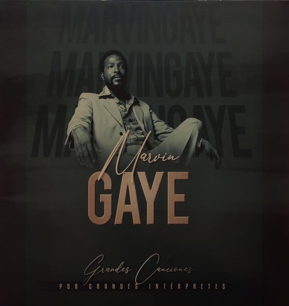 Vinilo Marvin Gaye - Grandes Canciones Por Grandes Interpretes