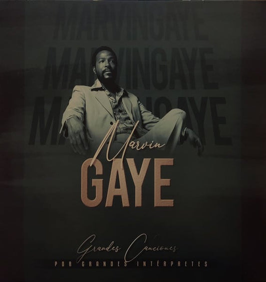 Vinilo Marvin Gaye - Grandes Canciones Por Grandes Interpretes